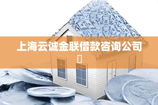 上海云诚金联借款咨询公司​