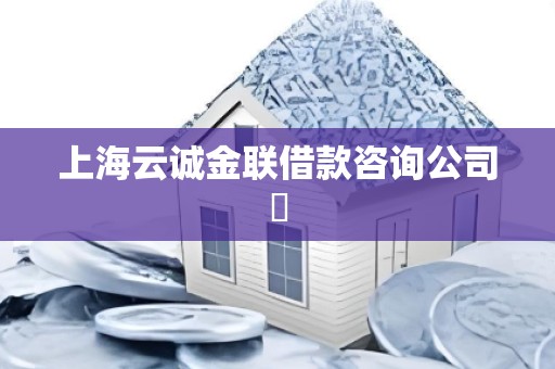 上海云诚金联借款咨询公司​