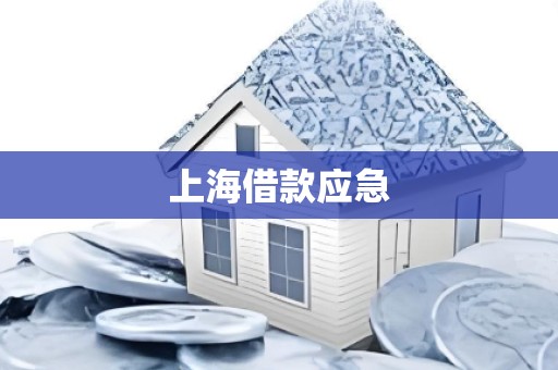 上海借款应急