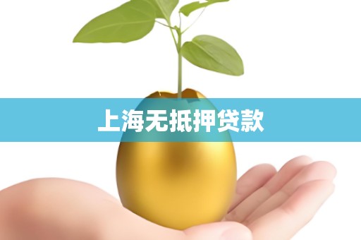 上海无抵押贷款