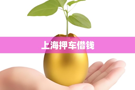 上海押车借钱