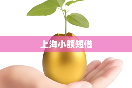 上海小额短借