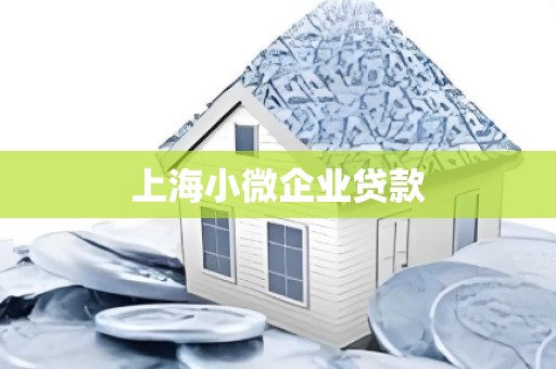 上海小微企业贷款