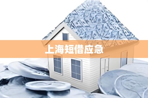上海短借应急