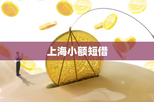 上海小额短借